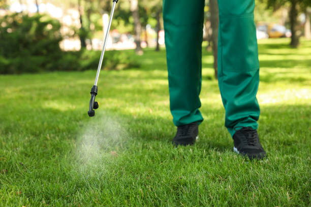 Professional Pest Control in Mcfarland, WI